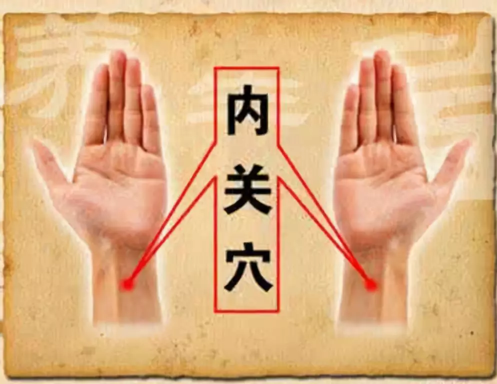 内关穴.png